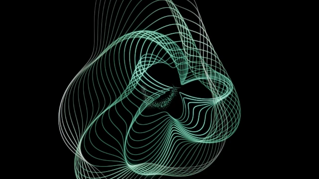 Chronotopic rings visual world