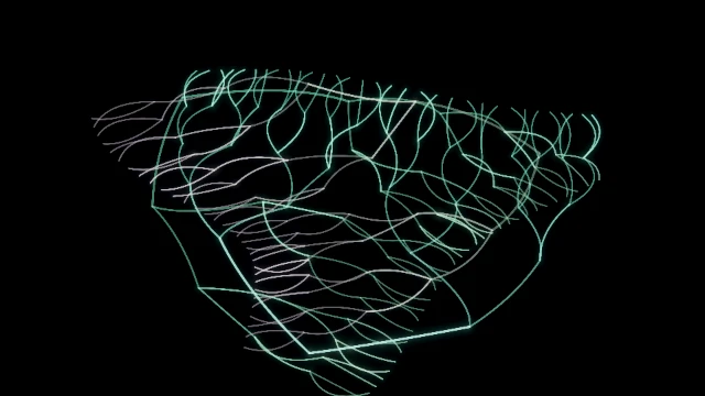Plasma bifurcation visual world