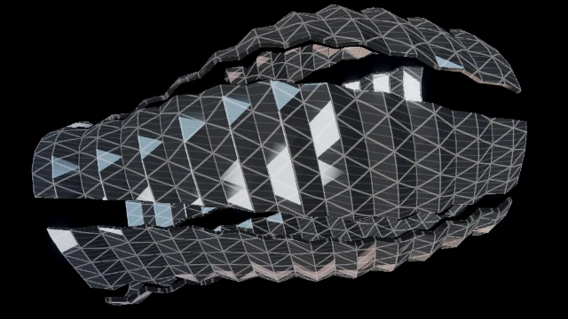 Schwarz lantern visual world