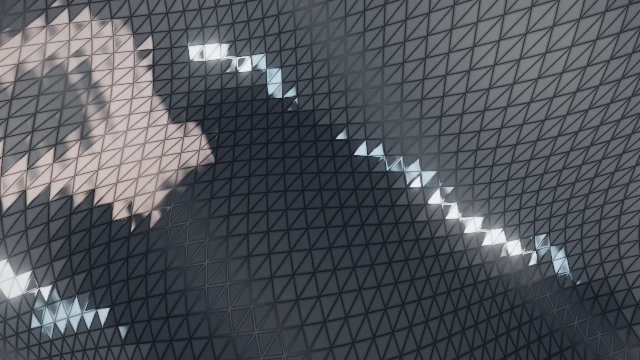 Tessellated skin visual world