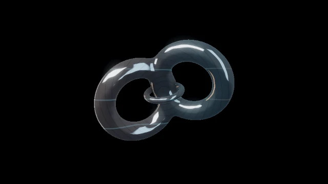 Torus surgery visual world